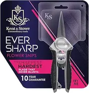 Kent & Stowe Eversharp Garden Cutting Snips