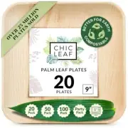 Palm Leaf Plates Disposable Bamboo Plates Like 9 Inch Square (20 pc) - 100%