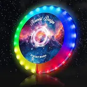 27cm Glowing in The Dark Frisbee, Glow in The Dark LED Flying Disc