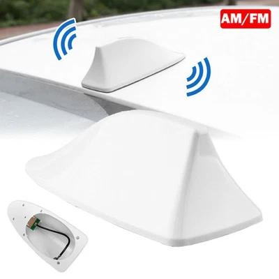 Shark Fin Roof Aerial FM AM Radio Antenna Signal Decoration Car Trim Universal