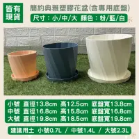 在飛比找momo購物網優惠-【育材】典雅塑膠花盆組:白/藍/粉(小/十入組)