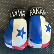 Panama Flag Mini Gloves Boxing Car Mirror Rearview Hanging Auto Decorating