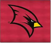 FANMATS NCAA Tailgater Mat