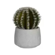 Artificial Cactus Plant 6.63" H in Round Cement Pot