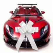 30 inch Car BowGiant Gift Bow for CarBig Bow for Car Huge Car BowBig Bow for ...
