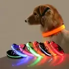 Dog Collar Nylon LED Night Safety Flashing Glow In The Dark Pet Dog Leash AUS