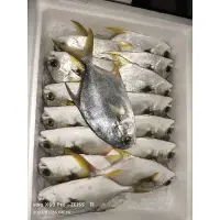 在飛比找蝦皮購物優惠-「預購」黃金鯧  紅衫  金鯧魚