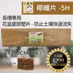 【小美紀】5片入14*55椰纖片-5H(盆栽墊片 植物介質 花盆墊片資材 花藝盆栽用品 2尺花盆)