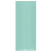 Robin's Egg Blue Small Cello Party Bags 25pk