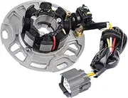 QCLCVBBFGW KX 125 Motorcycle Magneto Engines Stator Coil Fit for Kawasaki KX125 1999-2000 KX125-L1 KX125-L2 21003-1339 21003-1381