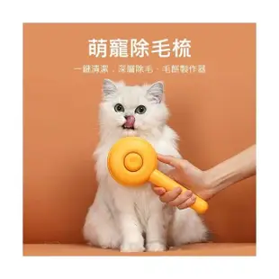 【TWBUY 台灣好購】一鍵退毛寵物按摩梳(寵物除毛梳 貓咪梳子 順毛 寵物梳 寵物用品 寵物美容)