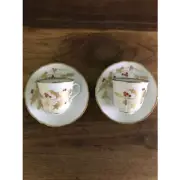 Richard Ginori Cup & Saucer (Set of 2)