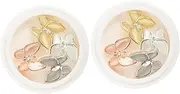 OSOLADY 1Set Butterfly Opal Nail Art Charms Color Box DIY Manicure Decorations Elegant Zircon Studs for Nail Decor for Parties and Performances