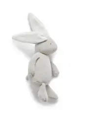 Grey Bunny Love