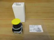 Allen Bradley 800H-FRXT9A5 Push Pull Switch