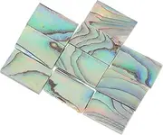 Vaguelly 10pcs Natural Abalone Shell Inlay Strips for Guitar Sound Hole Diy Decoration