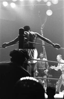 Rear view of Muhammad Ali standing in corner after knocking down F- Old Photo