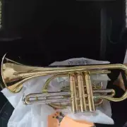 Cornet E100 Alto Trumpet Lacquered Gold Brass Jazz Instrument with Accessory