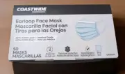 Coastwide Professional Earloop Face Mask (2 units, 100pc)