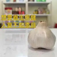 在飛比找蝦皮購物優惠-蒜頭 莿桐小農  半乾新鮮蒜頭