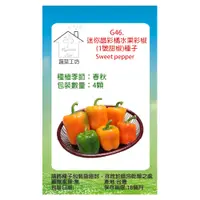 在飛比找PChome24h購物優惠-【蔬菜工坊】G46.迷你晶彩橘水果彩椒(1號甜椒)種子