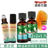 在飛比找momo購物網優惠-【Ausgarden 澳維花園】爆涼爽薄荷精油刮痧舒活5件組