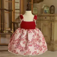 在飛比找ETMall東森購物網優惠-女童一周歲宴女寶寶禮服抓周嬰兒生日公主裙夏季紅色高端花童婚禮