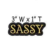 Sassy Text Words Patch Iron-on Custom Embroidery Applique