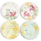 Royal Albert Miranda Kerr Australiana 20cm Plate Set of 4 Plates | 4pc