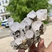 1.34LB Natural White Crystal Backbone Cluster Black Mineral Mud Specimen
