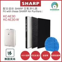 在飛比找友和YOHO優惠-適用於Sharp KC-AE30 KC-AE30-W 加濕空