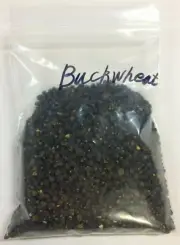 1/2 lb Buckwheat Seed Forage Food Plot Honey Bee Deer Turkey Bird Attractant