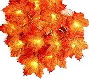 Fall Maple Leaves String Lights, 2 Pack 10Ft & 20 LED Maple Leaves Fall Lights for Indoor Outdoor Decor, Battery Powered Maple Leaf Light for Christmas Holiday Party Mother's Day Father's Day