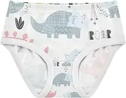 [Caihoyu] Girls' Briefs Girls' Hipster Triangle Panties Comfort Color for Kid in Sizes 2T,3T, 4T, 5T, 6Y and 8Y