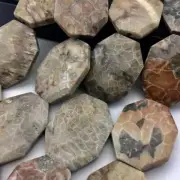 Natural Fossil Coral Rectangle Slice Faceted Octagon Beads 30x40mm 15.5" Strand