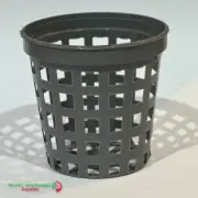 50mm NET Pot Pack of 100 for Aquatic plants, Orchids, Hydroponics