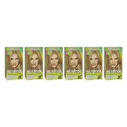 Garnier Nutrisse Nourishing Color Creme - 80 Medium Natural Blonde by Garnier for Unisex - 1 Application Hair Color - Pack of 6