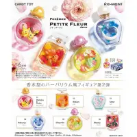 在飛比找蝦皮購物優惠-Pokémon 寶可夢 PETITE FLEUR P2 盒玩