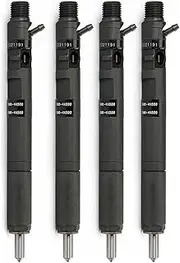 4 PCS Compatible for Delphi EJBR02901D CRDI Diesel Fuel Injector Compatible for Hyundai Terracan and KIA Carnival Sedona 2.9 33800-4X800