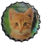 100 Kitten Home Brew Beer Bottle Caps Cat Decoration Art Crafts