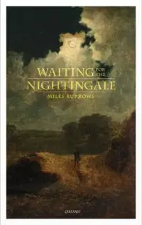 在飛比找博客來優惠-Waiting for the Nightingale