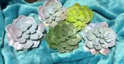 Artificial Succulents To Add To Home decor Or Any Craft Project. 30+ Succulents