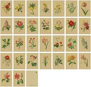 30 PCS 1 Set Postcard Souvenir Gifts Collection Postcards Set Cards Collectible Set, Flower E27