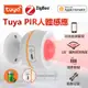 Tuya 智能生活 PIR人體感應ZB 感測器 探測器  傳感器 偵測器 可Homekit