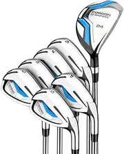 Forgan of St Andrews F200 Stainless Steel Iron Set with Hybrid, Mens Right Hand, Steel Shafts