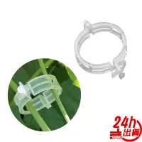 在飛比找蝦皮商城優惠-植物固定夾 現貨 台灣出貨 塑料綁蔓夾 固定花梗 綁枝夾 吊