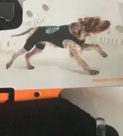 Hyde and Eek! Glow-in-the-dark Skeleton Pajamas Dog Or Cat Costume Medium