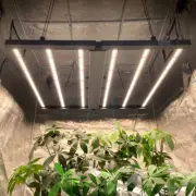 PHLIZON 450W Full Spectrum Samsung LED Grow Light Indoor Commercial Hydroponics