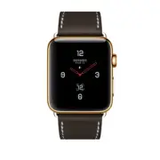 Apple Watch Series 9 Hermes 18K Custom Gold Plated 45mm Ebene Barenia Deployment