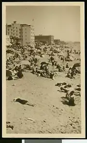 Sun-bathers on Venice Beach California Old Photo